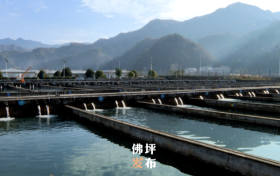 點(diǎn)贊！佛坪這一項(xiàng)目入國(guó)家農(nóng)業(yè)標(biāo)準(zhǔn)化示范區(qū)項(xiàng)目→縮略圖