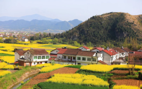2023中國(guó)最美油菜花海漢中旅游文化節(jié)將于3月中旬開(kāi)幕！縮略圖