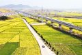 開(kāi)往春天的列車(chē)！西安去漢中高鐵8分鐘一趟 說(shuō)走就走縮略圖