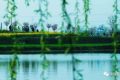 冷空氣今晚抵達！陜西局地氣溫將降6-8℃縮略圖
