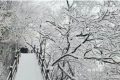 下雪了！漢中好多地方下雪了！縮略圖