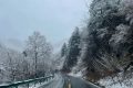 春雪別冬，觸處花開！縮略圖