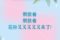 花粉季又又又又又來了，“過敏星人”怎樣度過？縮略圖