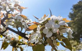 家有過(guò)敏娃家長(zhǎng)怎么辦？?jī)嚎茖?zhuān)家支招縮略圖