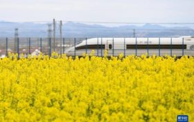 為期半年！即日起陜西將開展全省旅游市場價格專項檢查縮略圖