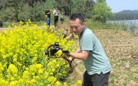 煙花三月，驚艷紅寺湖縮略圖