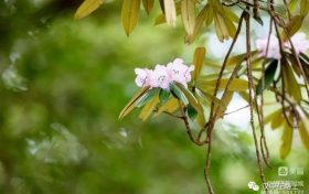 春游前，這份急救指南請(qǐng)先收好！縮略圖