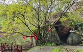 踏青賞春正當(dāng)時(shí)，相約漢江源享受好春光縮略圖