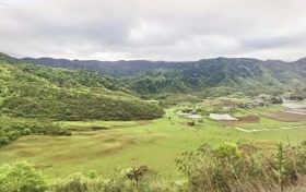 夏天來(lái)了，起居、飲食、運(yùn)動(dòng)有講究縮略圖