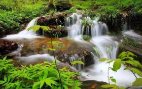 清涼避暑，到漢江源來吧~縮略圖