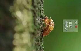 立秋：萬物驚秋 時(shí)節(jié)如流縮略圖