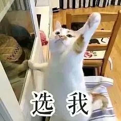 快來隨手拍城固，贏2000元大獎(jiǎng)！