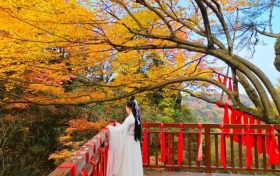 登山賞秋，漢江源馬上迎來第一波浪漫秋色!縮略圖