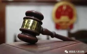 城固縣人民法院審結(jié)了一起未成年人駕駛電動自行車致人損傷案件縮略圖