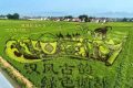喜報(bào)！城固入選國(guó)家級(jí)創(chuàng)建單位名單縮略圖