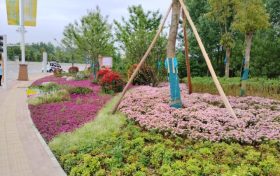 讓幸福加碼！南鄭民生實(shí)事項(xiàng)目新進(jìn)展——市民休閑公園改造項(xiàng)目縮略圖