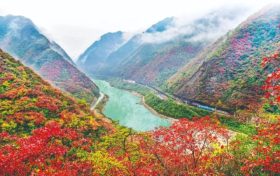 不負(fù)美景不負(fù)秋！不管你去不去，這份秋日攻“略”都值得收藏！縮略圖