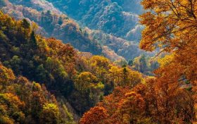 期待一下，佛坪的絢爛秋日就快來啦！縮略圖