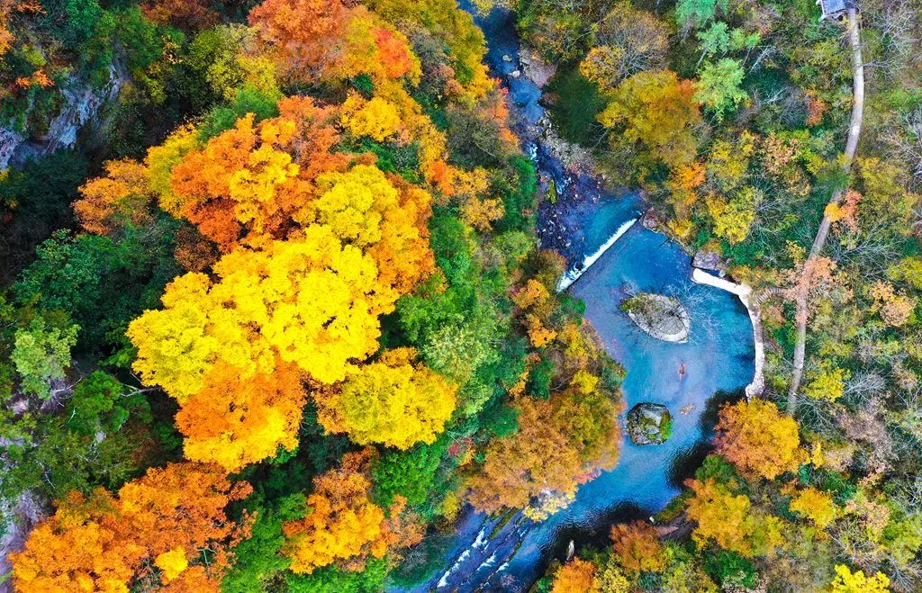 重磅！漢中這家4A景區(qū)全民免門票！