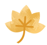 又是一年彩林季，漢江源彩林搶先看~