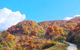 又是一年彩林季，漢江源彩林搶先看~縮略圖