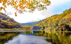 今日迎來(lái)霜降節(jié)氣 這是秋天結(jié)束、冬天到來(lái)的交界點(diǎn)縮略圖