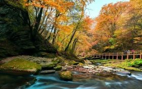 重磅！漢中這家4A景區(qū)全民免門票！縮略圖