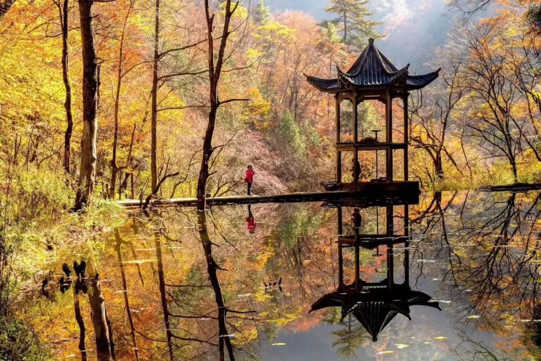 10月1日，漢中黎坪景區(qū)秋高氣爽、景色秀美，還不擁擠，趕緊出發(fā)嘍！