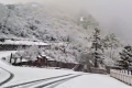 就在今天，陜西太白山又下雪了！縮略圖
