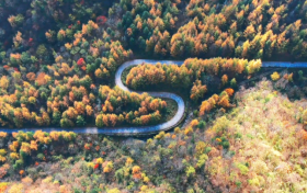 秋意漸濃，放慢腳步 ，佛坪秋景“大片”已上映！縮略圖