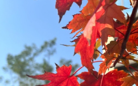 近期氣溫為啥偏高？專(zhuān)家解釋來(lái)了縮略圖