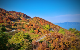 已經(jīng)紅了，快來漢江源看彩林！縮略圖
