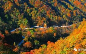 秋日去佛坪，感受古詩詞中的山河秋色縮略圖