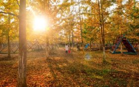 有一種美叫做西鄉(xiāng)的秋天！縮略圖