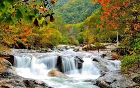 一路風(fēng)景美如畫！佛坪最美自駕賞秋路線來咯→縮略圖