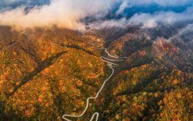 新華社報(bào)道：秦嶺山區(qū)公路成天然畫(huà)卷縮略圖