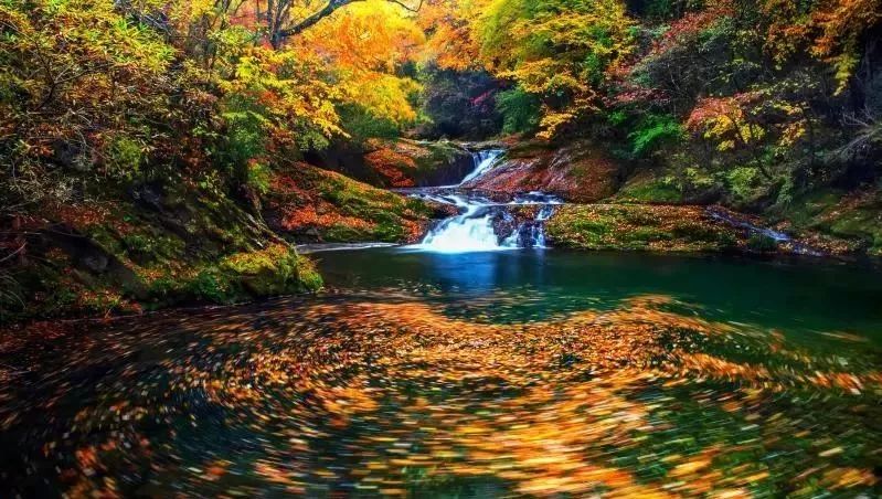 10月1日，漢中黎坪景區(qū)秋高氣爽、景色秀美，還不擁擠，趕緊出發(fā)嘍！