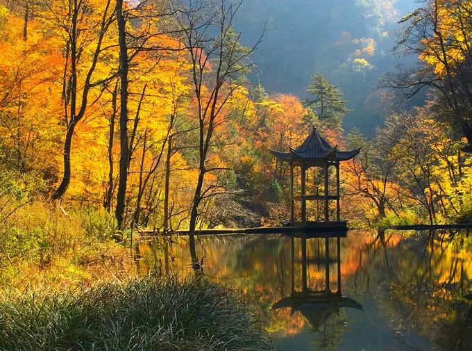 重磅！漢中這家4A景區(qū)全民免門票！