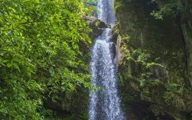 大霧黃色預(yù)警！漢中這些地方能見(jiàn)度低→縮略圖