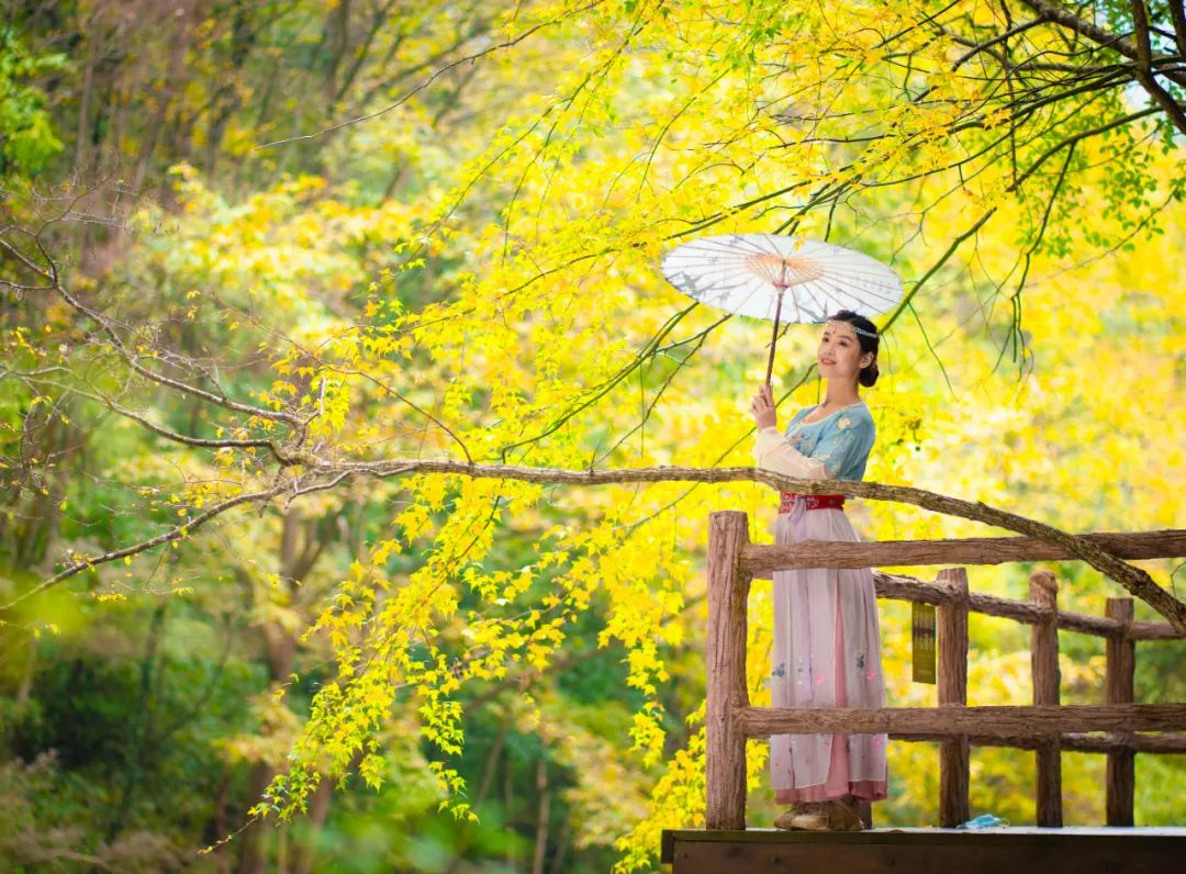 10月1日，漢中黎坪景區(qū)秋高氣爽、景色秀美，還不擁擠，趕緊出發(fā)嘍！
