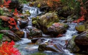 深秋美景正當(dāng)時(shí)，最美的佛坪秋意送給你~縮略圖