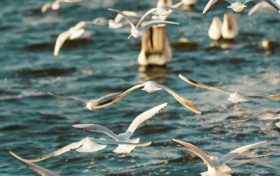 邂逅初冬，漢臺這些風(fēng)景幀幀如畫！縮略圖