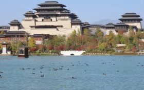 連續(xù)三年在興漢勝境漢源湖過冬的“野鴨”們又飛來了??！縮略圖