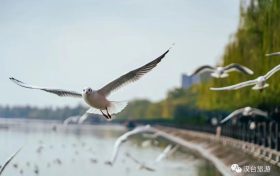 奔赴漢臺，來場暖冬之旅！縮略圖