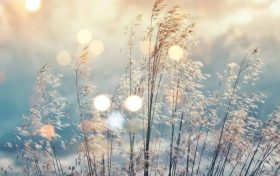 氣溫短暫回升！下周冷空氣再度來(lái)襲縮略圖