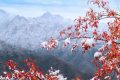 陜西多個景區(qū)實行淡季政策 進行門票價格或時間調(diào)整縮略圖