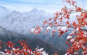 天冷不穿秋褲會(huì)凍出關(guān)節(jié)炎？醫(yī)生：關(guān)節(jié)炎不是“凍”出來(lái)的但秋褲該穿還得穿縮略圖