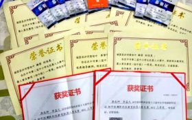 優(yōu)秀！城固縣兩名學(xué)生喜獲世界機(jī)器人大賽國賽二等獎(jiǎng) →縮略圖