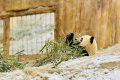 漢中多地下雪了，陜西氣象最新發(fā)布→縮略圖