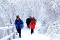 隨著冷空氣的抵達(dá)，陜西迎來一份雨雪、降溫、吹風(fēng)天氣過程縮略圖